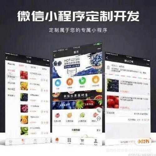 專業(yè)開發(fā)網站小程序app定制