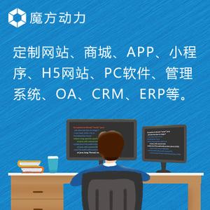 定制.net/java/php/h5網(wǎng)站商城app小程序pc軟件系統(tǒng)oa/crm/erp/hr
