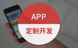 廈門市即時聊天社交聊天app開發(fā)聊天軟件安卓 蘋果 后端