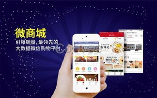 蠟筆小新軟件系統(tǒng)開(kāi)發(fā)訂制
