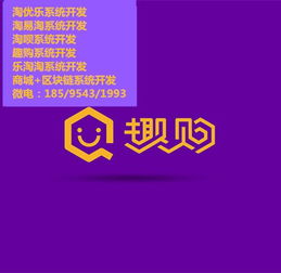 趣購系統(tǒng)區(qū)塊鏈商城開發(fā)樂淘淘眾籌模式商城定制開發(fā) 鄭州騰遠(yuǎn)電子科技公司 app軟件 小程序